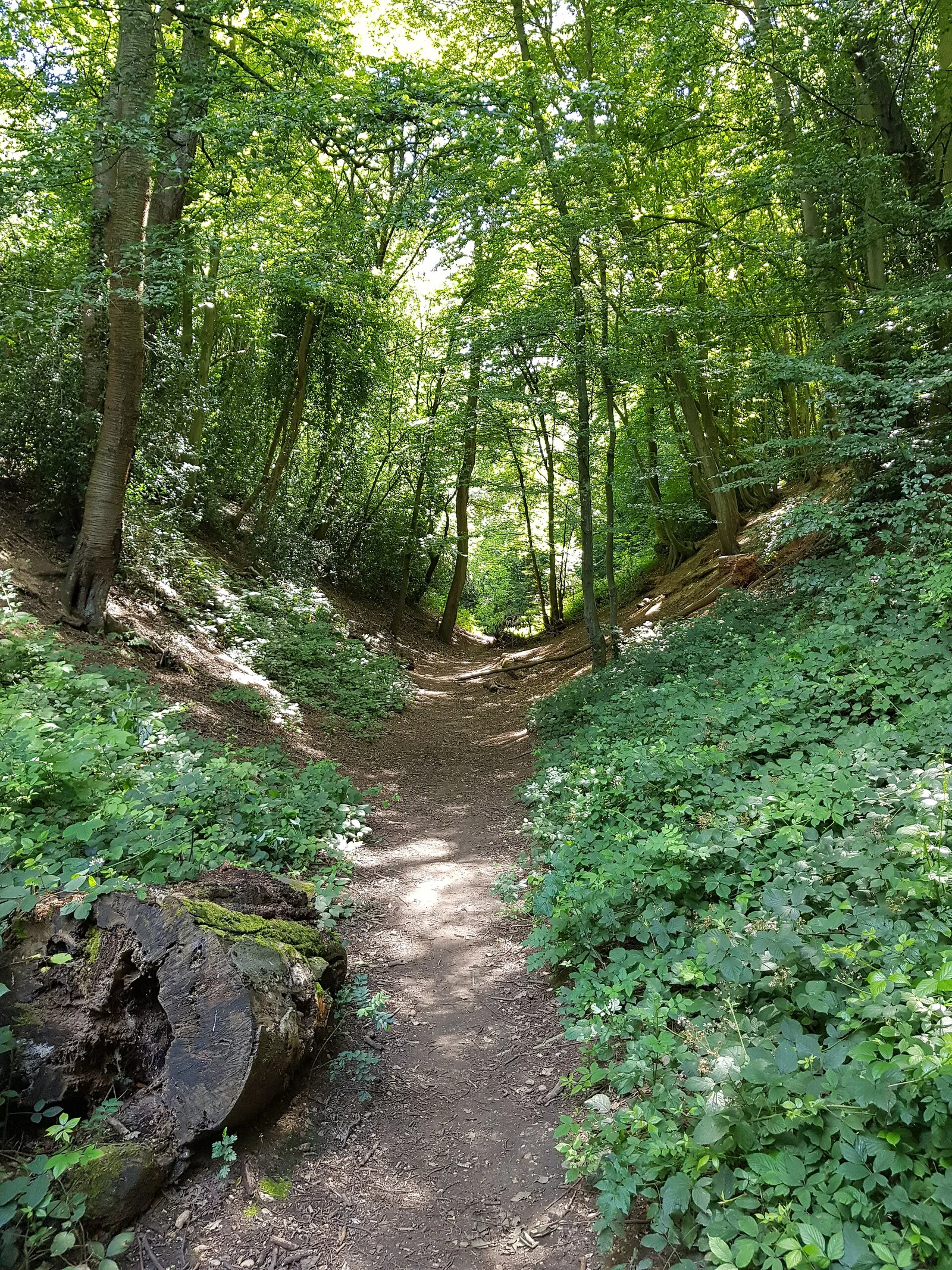 Devil's Dyke, Hertfordshire